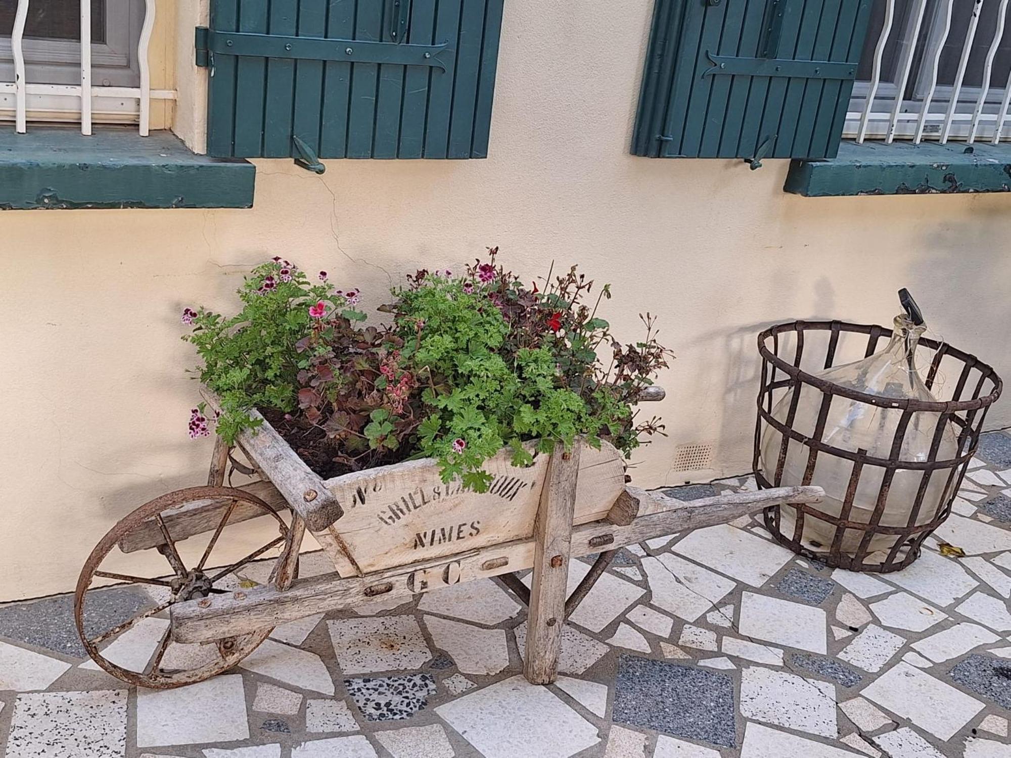 Site Paradis Rue Colibri Авиньон Екстериор снимка