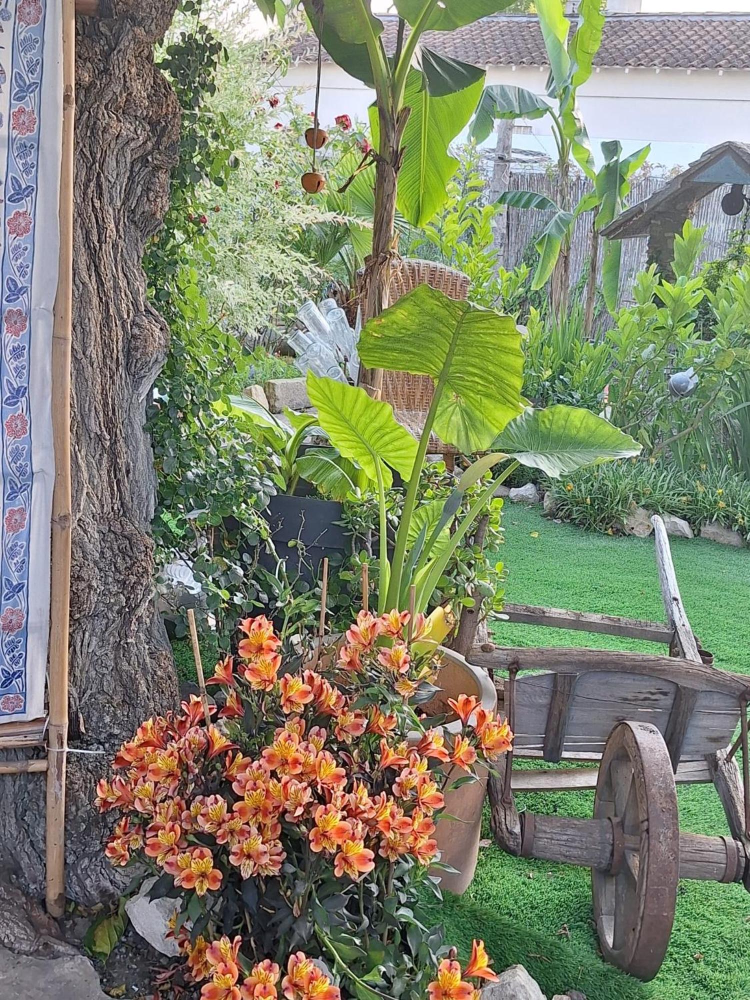 Site Paradis Rue Colibri Авиньон Екстериор снимка